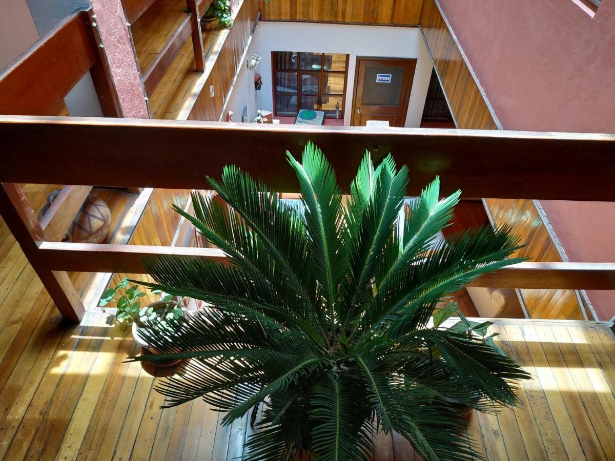 Aleida'S Hostal Puembo Exterior photo
